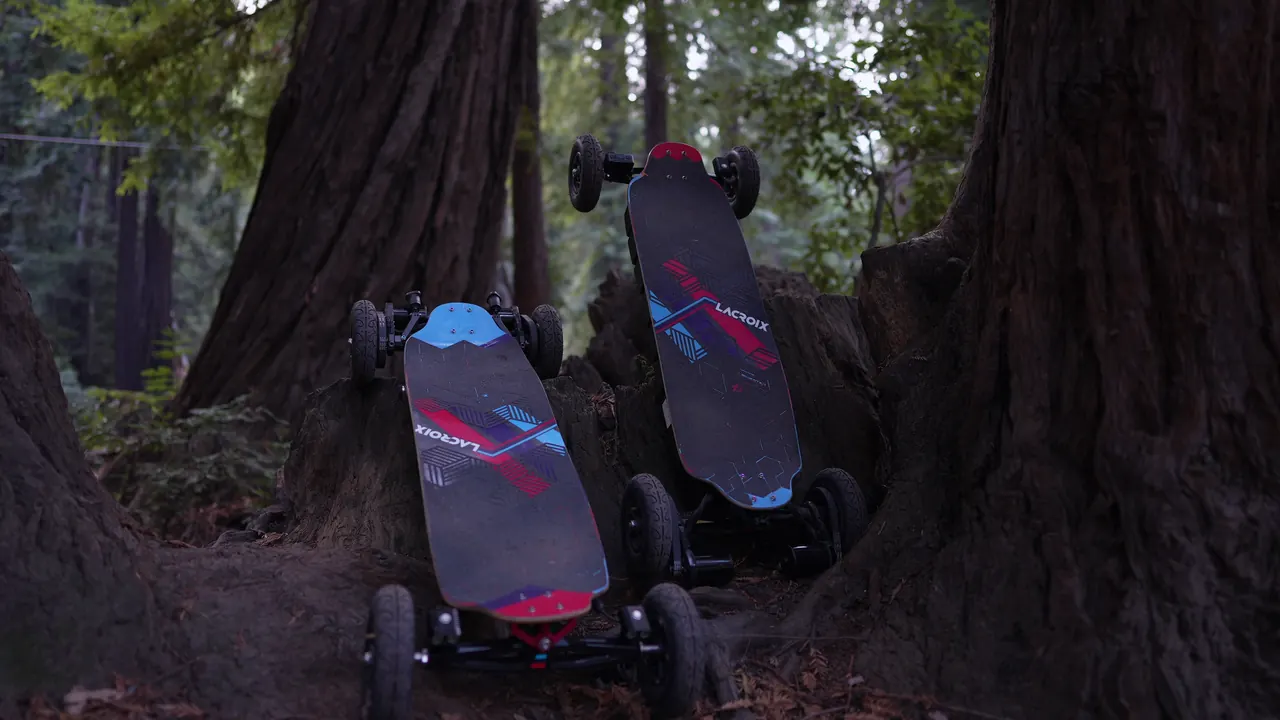 The two boards resting among the roots of giant redwoods.